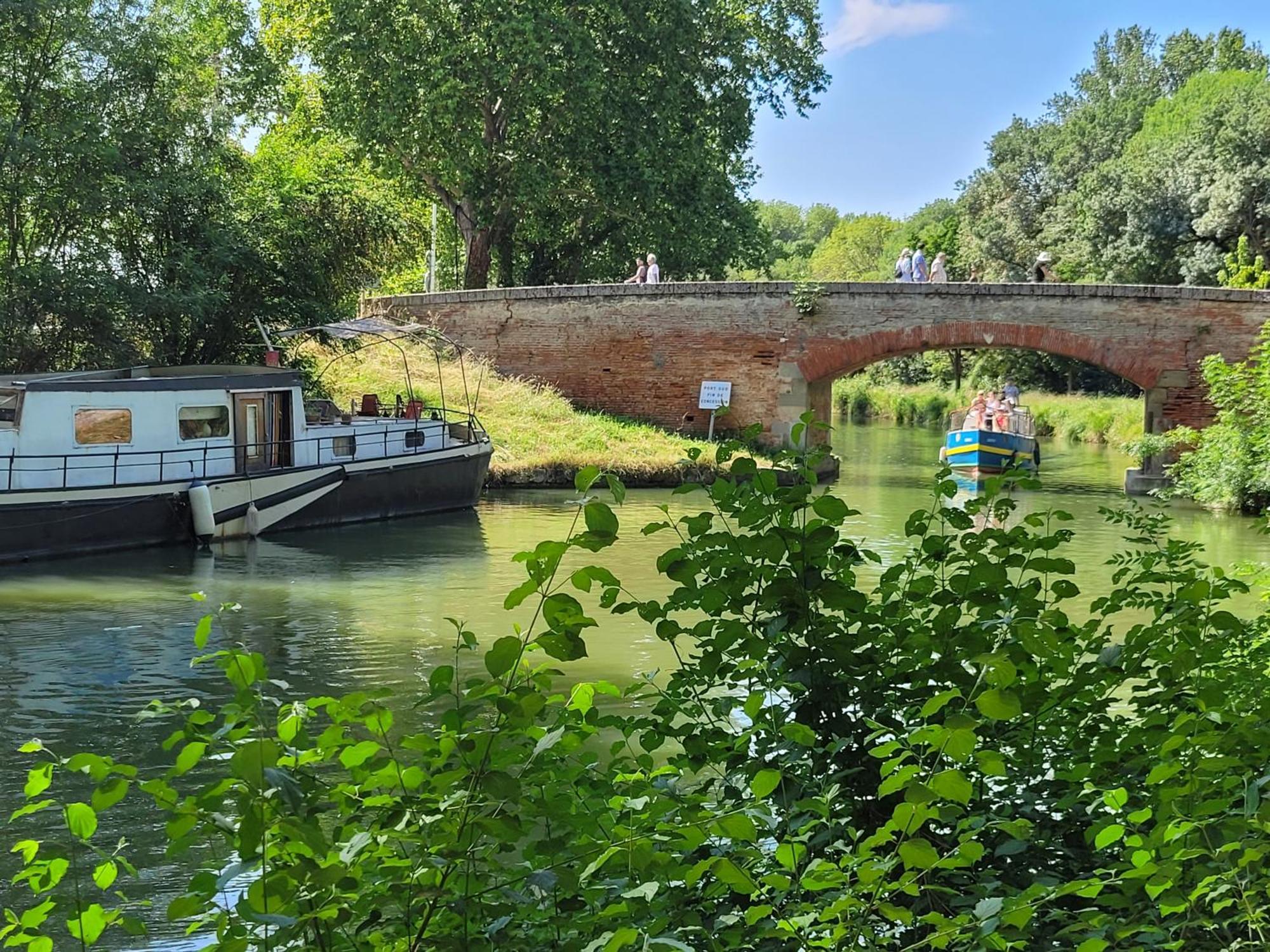 Chambre Sud Chez Habitant Toulouse Kültér fotó